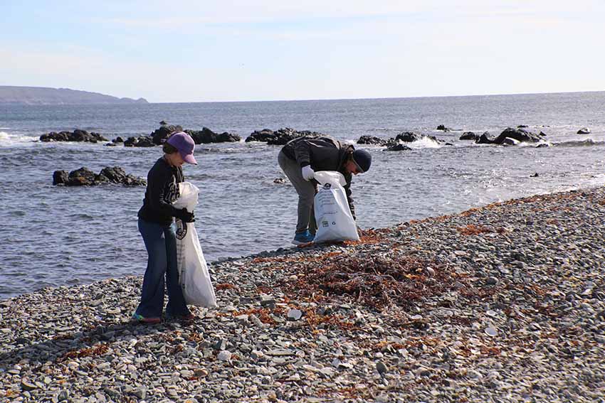 Más de 9 toneladas de basura fueron retiradas en megaoperativo en