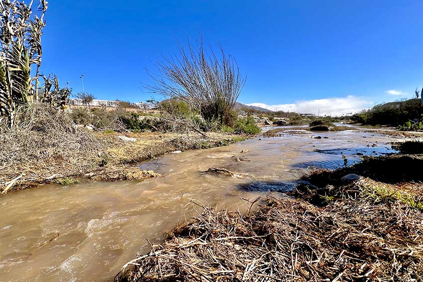 DGA MOP recupera con trabajo público-privado el Río Copiapó